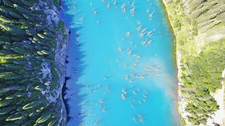 Mountain lake with blue water. Trunks of fir trees are in a mountain lake. Drone footage, top view. Coniferous trees. Kazakhstan, Almaty, Kaindy lake.の写真素材