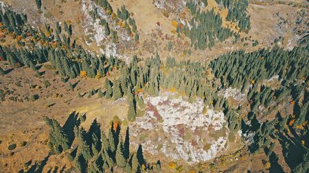 Autumn in the mountains. Green-orange wood, the grasses, coniferous ate. Big rocks and snow-capped mountains. Mountain gorge. Yellow bushes and grass. Shooting from a height, drone. Almaty, Kazakhstan.の写真素材