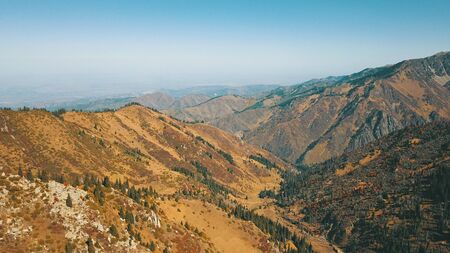 Autumn in the mountains. Green-orange wood, the grasses, coniferous ate. Big rocks and snow-capped mountains. Mountain gorge. Yellow bushes and grass. Shooting from a height, drone. Almaty, Kazakhstan.の写真素材