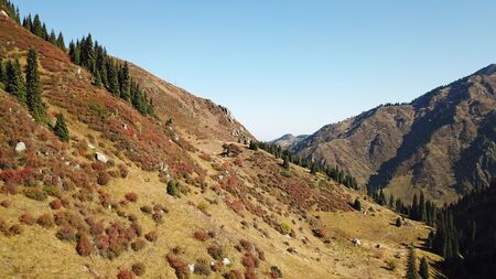 Autumn in the mountains. Green-orange wood, the grasses, coniferous ate. Big rocks and snow-capped mountains. Mountain gorge. Yellow bushes and grass. Shooting from a height, drone. Almaty, Kazakhstan.の写真素材