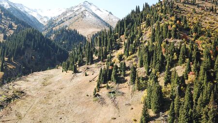Autumn in the mountains. Green-orange wood, the grasses, coniferous ate. Big rocks and snow-capped mountains. Mountain gorge. Yellow bushes and grass. Shooting from a height, drone. Almaty, Kazakhstan.の写真素材