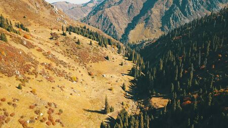 Autumn in the mountains. Green-orange wood, the grasses, coniferous ate. Big rocks and snow-capped mountains. Mountain gorge. Yellow bushes and grass. Shooting from a height, drone. Almaty, Kazakhstan.の写真素材