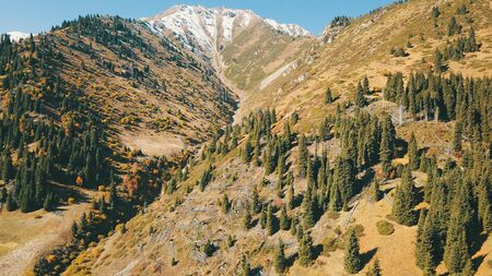 Autumn in the mountains. Green-orange wood, the grasses, coniferous ate. Big rocks and snow-capped mountains. Mountain gorge. Yellow bushes and grass. Shooting from a height, drone. Almaty, Kazakhstan.の写真素材