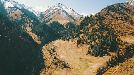 Autumn in the mountains. Green-orange wood, the grasses, coniferous ate. Big rocks and snow-capped mountains. Mountain gorge. Yellow bushes and grass. Shooting from a height, drone. Almaty, Kazakhstan.の写真素材