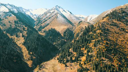 Autumn in the mountains. Green-orange wood, the grasses, coniferous ate. Big rocks and snow-capped mountains. Mountain gorge. Yellow bushes and grass. Shooting from a height, drone. Almaty, Kazakhstan.の写真素材