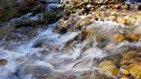 River in the forest. Autumn landscape. Water flows around the stones, visible green moss, small...