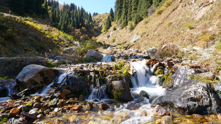 River in the forest. Autumn landscape. Water flows around the stones, visible green moss, small...