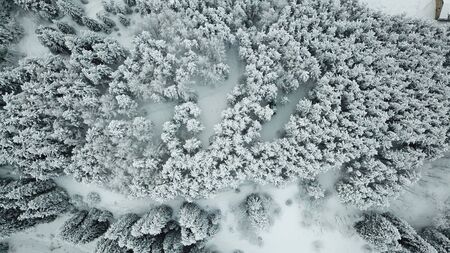 The winter forest in the mountains is covered with fresh snow. Shooting from a height, a drone. Snow falls in the forest, coniferous trees and hills are covered with snowdrifts. Clouds Kazakhstanの写真素材