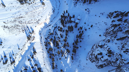 Winter gorge, fir trees and a group of people. Ready-made trail through the snow gorge. A group of climbers is walking along it. Top view from a drone. The shadows of the trees fall on the deep snow.の写真素材