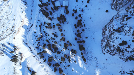 Winter gorge, fir trees and a group of people. Ready-made trail through the snow gorge. A group of climbers is walking along it. Top view from a drone. The shadows of the trees fall on the deep snow.の写真素材