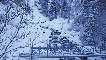 A metal bridge among tall fir trees in the snowy mountains. The view from the drone to the gorge...