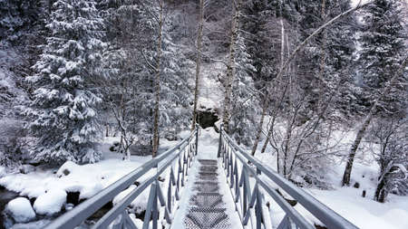 First-person view of a metal bridge in the forest. I walk across a bridge in a snowy gorge, among white rocks and trees. A clear river runs. Mountainous terrain. Snow is falling. Almarasan, Almatyの写真素材