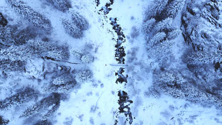 A majestic snowy gorge with fir trees in mountains. Tall trees brush against white clouds. Steep cliffs with large rocks are covered with snow. Top view from the drone. Almarasan, Almaty, Kazakhstanの写真素材