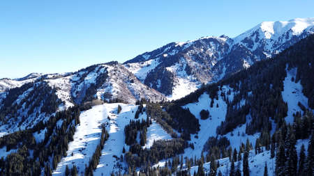 Winter forest high in the mountains. Top view from the throne of the snowy mountains and hills. Fir trees and trees grow on the hills. Some trees are covered with snow. The shadow of the trees.の写真素材