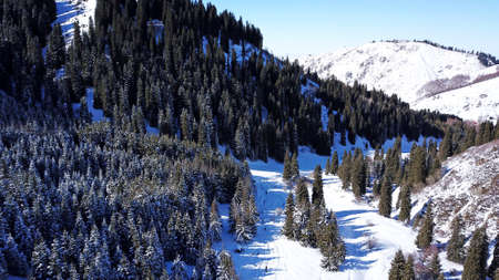 Active recreation of people in the mountains. Top view from the throne. A group of people walking along a trail in a snowy forest in the mountains. The trees cast shadows on the snow. Sunny day.の写真素材
