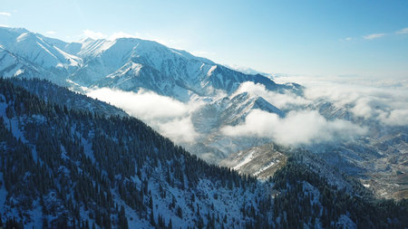 Snow forest in the mountains, above the clouds. View from above, from the drone. Coniferous trees are covered with snow. Clouds float along the gorge. Snowy hills and Sunny day. Tourists in mountainsの写真素材
