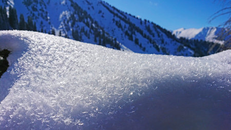 Macro photography of snow in the mountains. In the background, you can see mountains, coniferous...