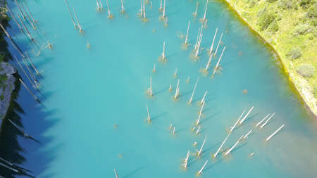 Coniferous trees rise from the depths of a mountain lake. Top view from the drone. On the shore you can see rocks, green forest and grass growing. Kaindy Lake, Kazakhstan. Groups tourists are resting.の写真素材
