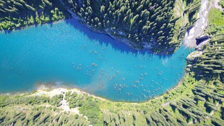 Coniferous trees rise from the depths of a mountain lake. Top view from the drone. On the shore you can see rocks, green forest and grass growing. Kaindy Lake, Kazakhstan. Groups tourists are resting.の写真素材