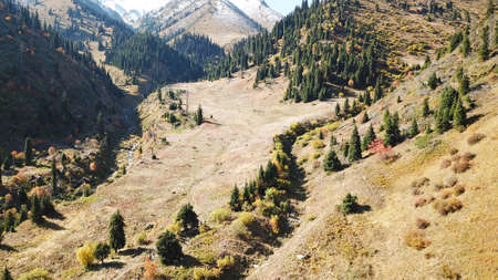 The group goes on a trail in the mountains.の写真素材