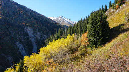Autumn landscape of mountains and forests.の写真素材