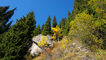 Autumn landscape of mountains and forests.の写真素材
