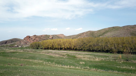 A small green oasis in a gorge among the steppes.の写真素材