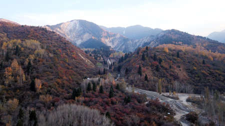 Autumn mountain forest. Top view from a drone.の写真素材