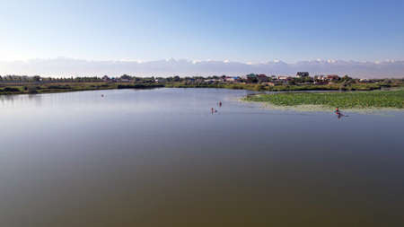 People swim on sup boards in a pond with lotusesの写真素材