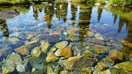 Mountain clear water of stream and green fields.の写真素材