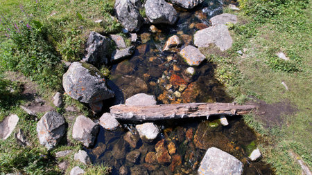 A small pond and a stream in a mountain forest.