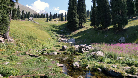 A small pond and a stream in a mountain forest.の写真素材