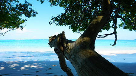 A snow-white beach on the island of Similan.