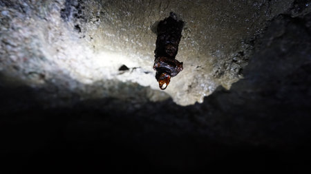 A drop of water hangs on a rusty screw in the cave