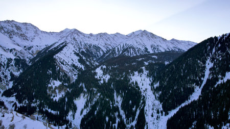 Coniferous forest in snowy mountains. White cloudsの写真素材