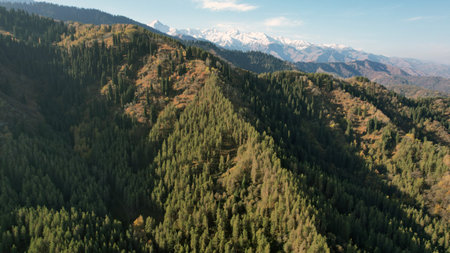 High autumn hills with bright trees and mountainsの写真素材
