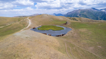 A herd of horses in mountains near a watering holeの写真素材