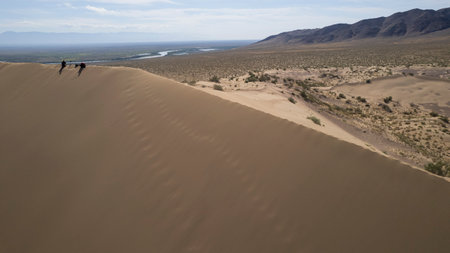 A large sandy dune in the middle of the steppeの写真素材