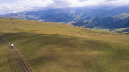 A white SUV rides in the mountains through fieldsの写真素材