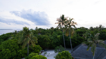 A house hidden in the greenery of the islandの写真素材