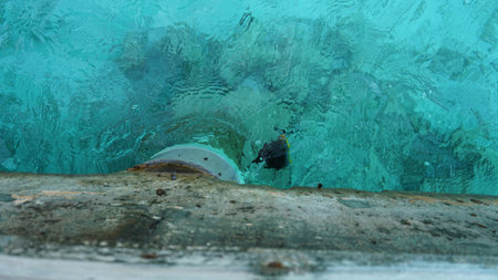 Drainage pipe pouring water into turquoise tropical sea