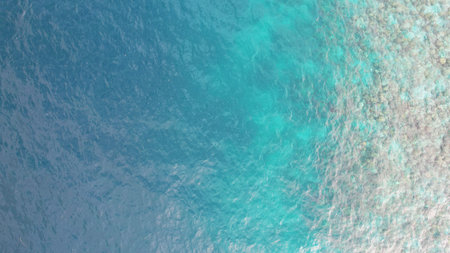 Crystal clear water meeting coral reef in tropical paradise