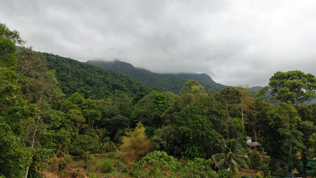 Lush tropical forest covering rolling hills on cloudy dayの写真素材