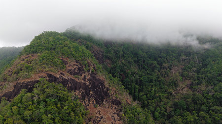 Low clouds covering lush tropical rainforest and mountain peakの写真素材