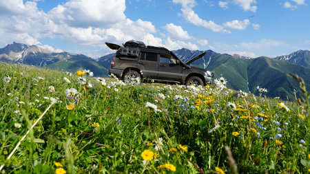 Black suv breaking down in mountain wildflower meadow