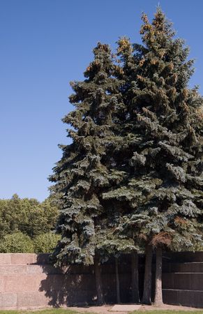 The wall on a memorial place "Marsovo Pole" in St.Petersburg, Russiaの写真素材