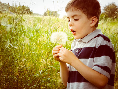 Just a little boy playing in the field and blowing dandelions...summers are too short are too short to waste the sun.の写真素材