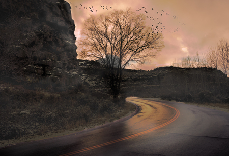 A group of birds scatters from a tree next to the sunlit road in a rocky canyon.の写真素材