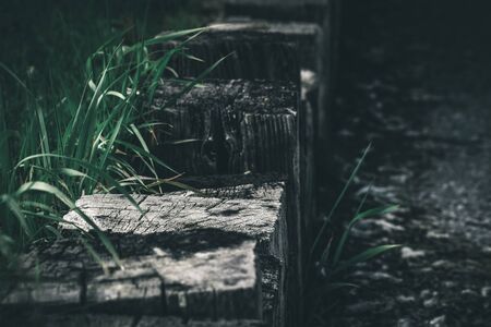 Dark green grass lines weathered wooden blocks, forming a fence next to a paved path.の写真素材