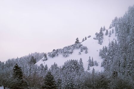 A very cold day produces fog along the mountain-range giving a dreamy look to this winter scene.の写真素材